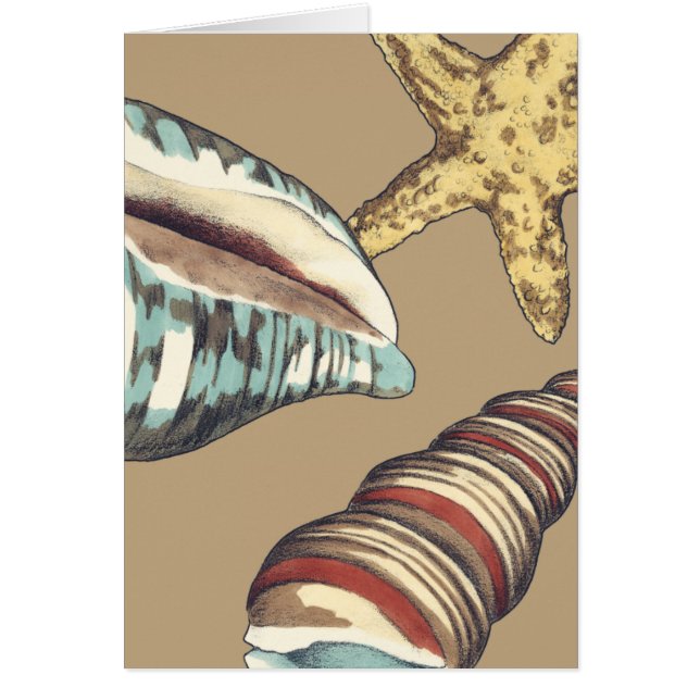 Trio Shell sur Khaki (Devant)