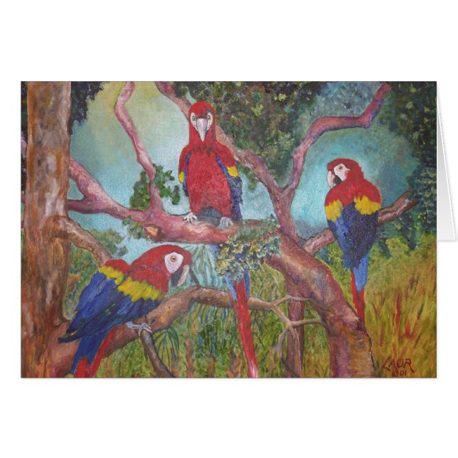 Trio tropical (Devant horizontal)