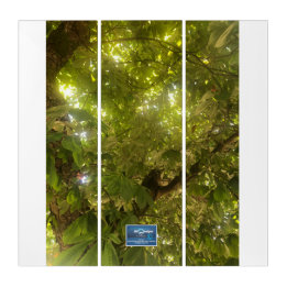 Triptych Wh. (Sun Green Tree 1)RFPMDesigns ©️ 2021
