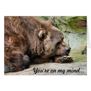Triste Ours Grizzli