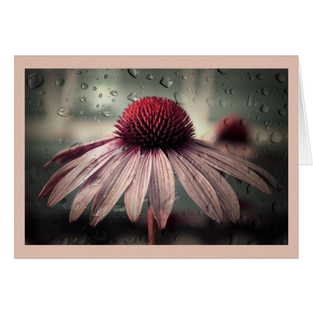 triste solitude (Devant horizontal)