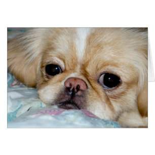 Triste visage