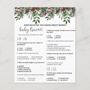 Trivia à feuillage persistant Snow Baby Jeu Baby