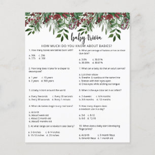 Trivia à feuillage persistant Snow Baby   Jeu Baby