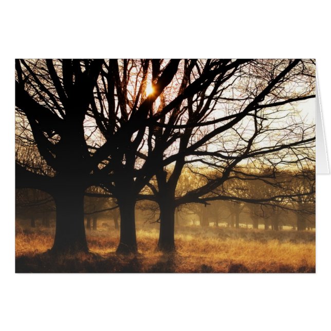 Trois arbres (Devant horizontal)