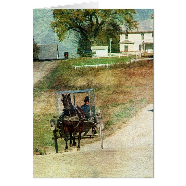 Trois buggies Amish (Devant)