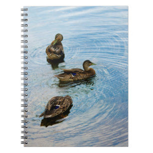 Trois Carnets