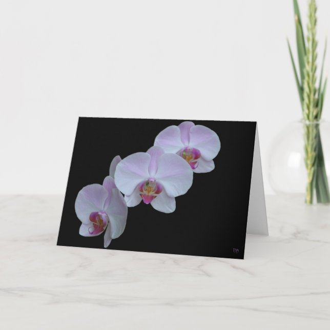 Trois cartes de vœux aux orchidées (Devant)