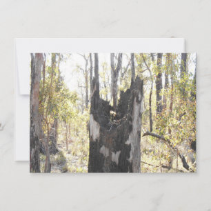 Trois cartes lumineuses