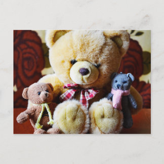 Trois cartes postales Nounours