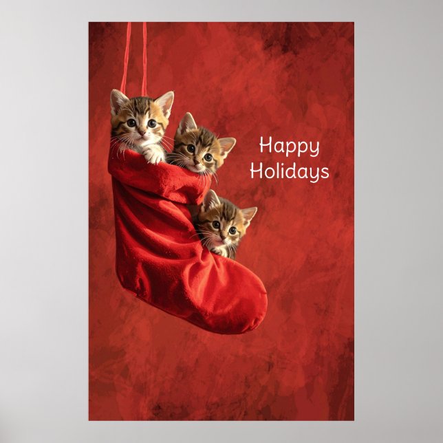 Trois chatons dans une affiche de bas de Noël (Devant)