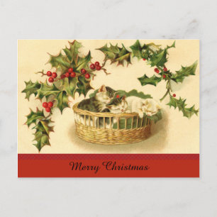 Trois chatons dans une carte postale panier