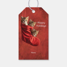 Trois chatons dans une étiquette de cadeau de bas