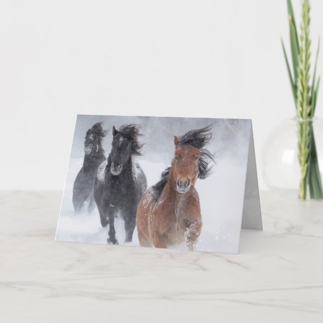 Trois Chevaux De Neige Gèrent Une Carte De Voeux R (Devant)