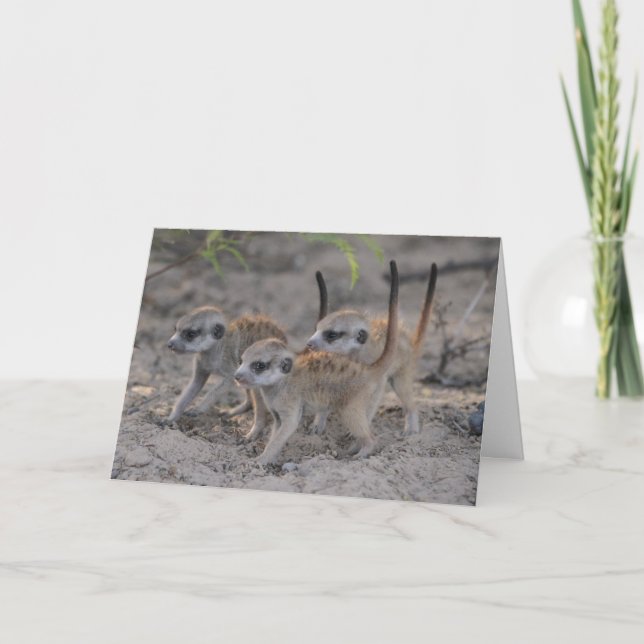 Trois chiots sages - carte de Joyeuses Fêtes (Devant)