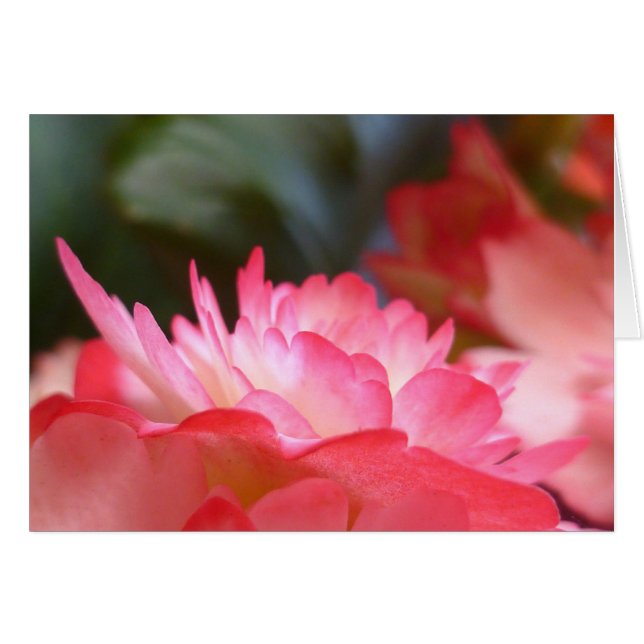 Trois choses (Devant Horizontal)