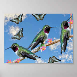 Trois colibris perchés sur une affiche de branche
