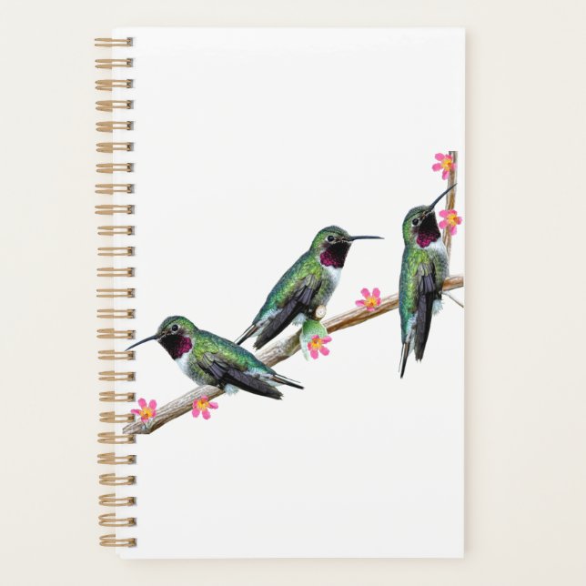 Trois colibris perchés sur une branche Floss Silt (Devant)