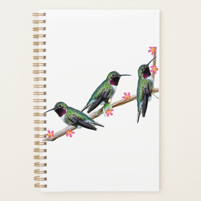 Trois colibris perchés sur une branche Floss Silt (Devant)