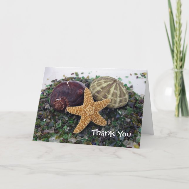 trois coquilles, Merci (Devant)