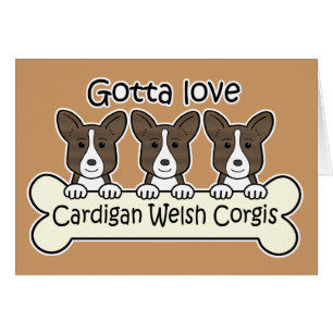 Trois Corgis de Gallois de cardigan