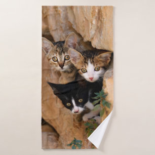 Trois Curieux Chatons De Chat Chatons Faciles Phot