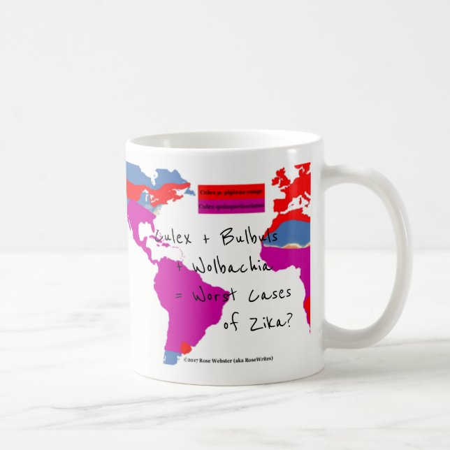 Trois espèces de Mug Culex par RoseWrites (Droite)