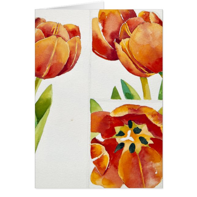 Trois études de tulipe dans un 2013 sûr (Devant)