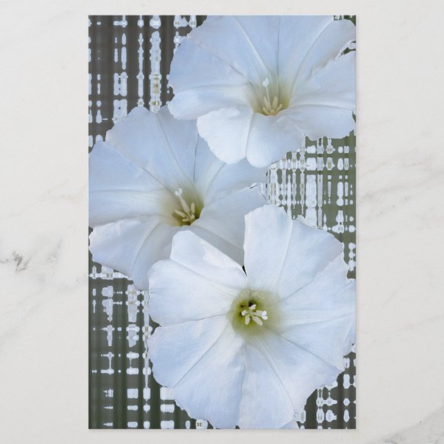 trois fleurs blanches (Devant)