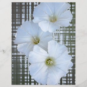 trois fleurs blanches