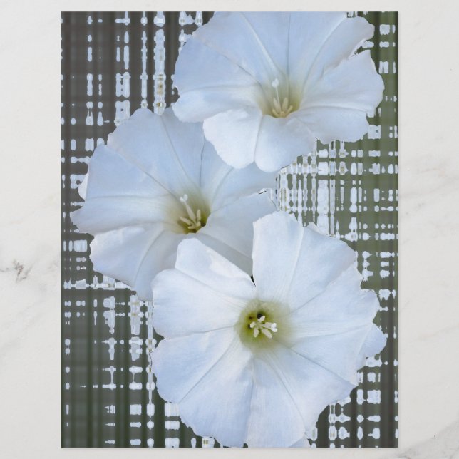 trois fleurs blanches (Devant)