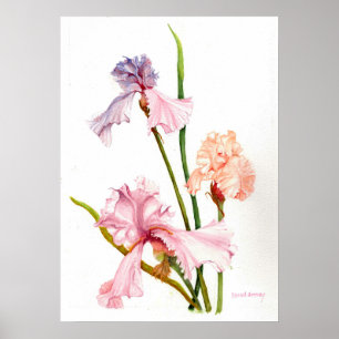 Trois Iris Pastel Affiche Papier (Mat)