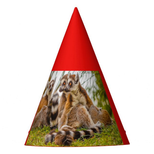 trois lémuriens sur un chapeau de fête (Devant)