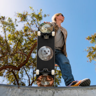 Trois Meerkat Photos, Skateboard complet