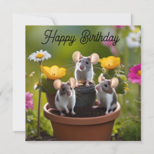 Trois Mètres Dans Des Pots À Fleurs,