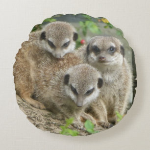 Trois mignons Meerkats Coussin rond