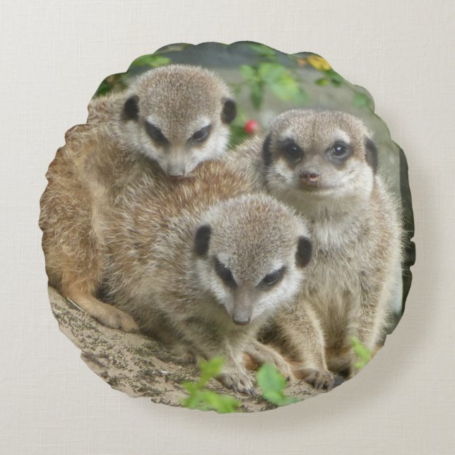 Trois mignons Meerkats Coussin rond (Devant)