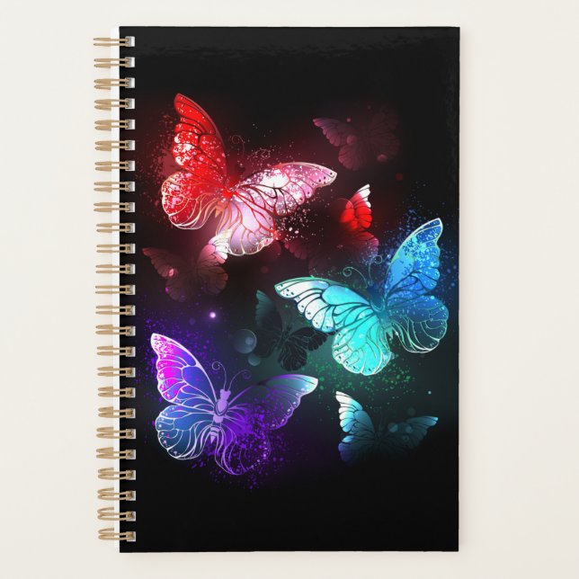 Trois papillons lumineux sur fond de nuit (Devant)