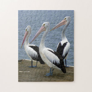 Trois Pélicans sur une Jetée Photo Puzzle