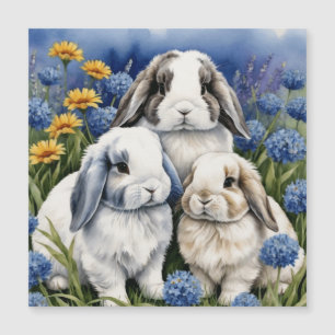 Trois petits lapins lapins de lapin de lop