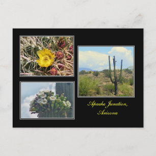 trois photos d'Apache Junction Arizona carte posta