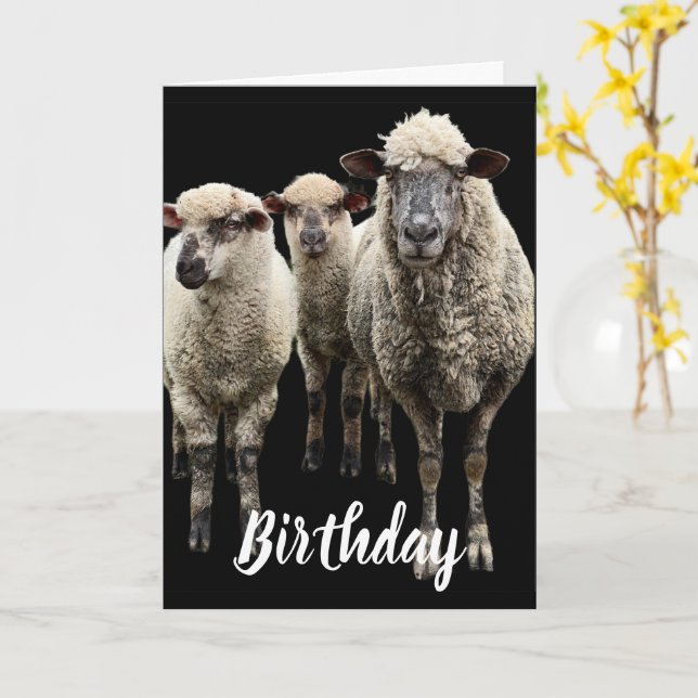 TROIS PHOTOS DE SHEEP SUR CARTE DE SALUT D'ANNIVER (Fleur jaune)