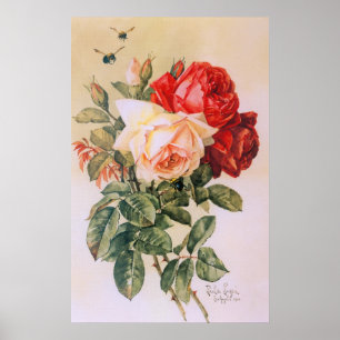 Trois Posters vintage Roses