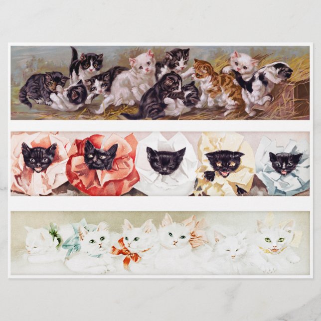 Trois rangées de chatons victoriens de l'époque (Devant)