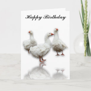 TROIS SEBASTOPOL GEESE SUR LA CARTE DE SALUT BLANC
