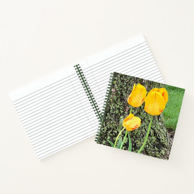 Trois Tulipes Jaunes / Journal (Intérieur)