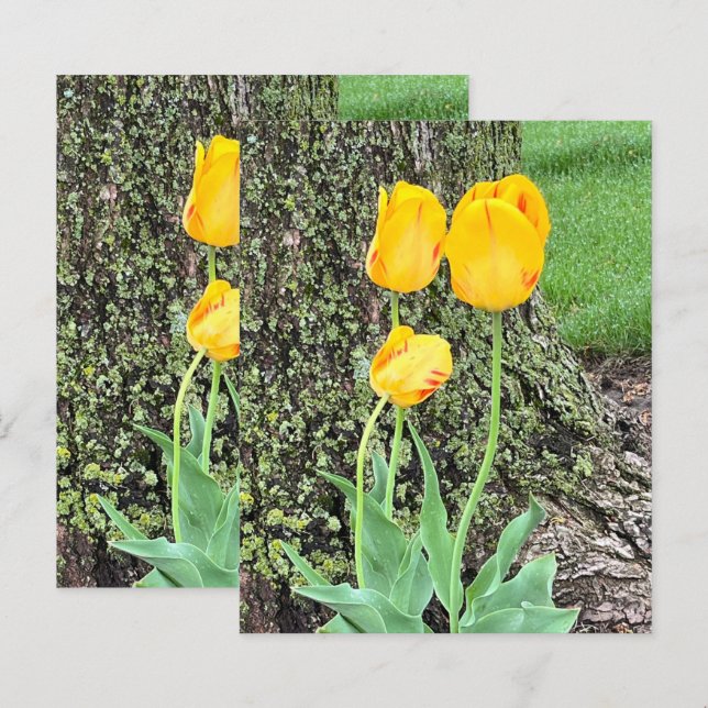 Trois Tulipes Jaunes / Papier Scrapbook (Devant / Derrière)