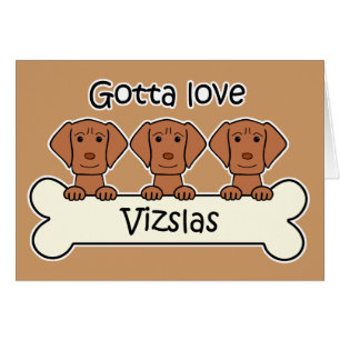 Trois Vizslas