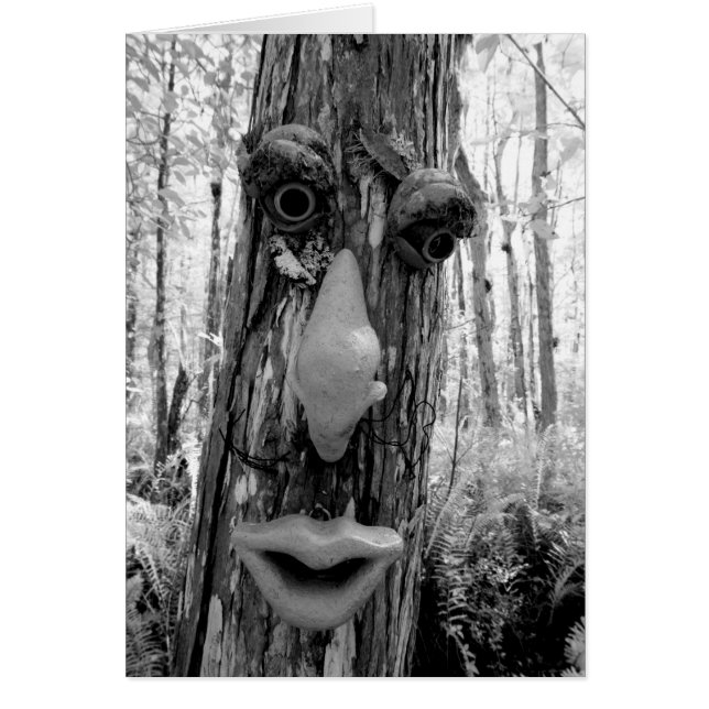 Troll d'arbre sur un arbre Big Cypress. (Devant)