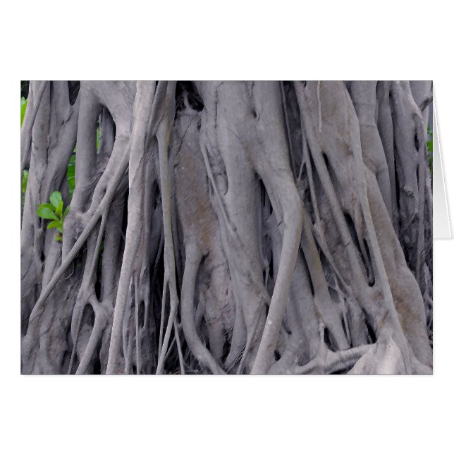 Tronc d'arbre de Banyan (Devant horizontal)